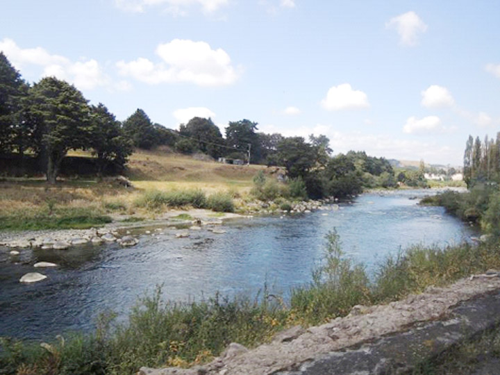 生態(tài)護(hù)岸技術(shù)