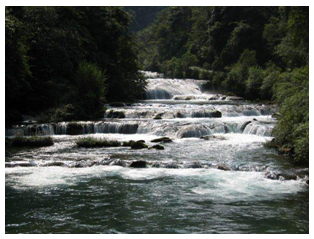 水體增氧技術(shù)